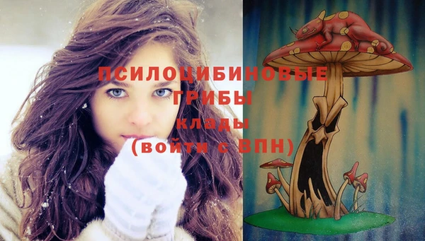 кокс Балабаново