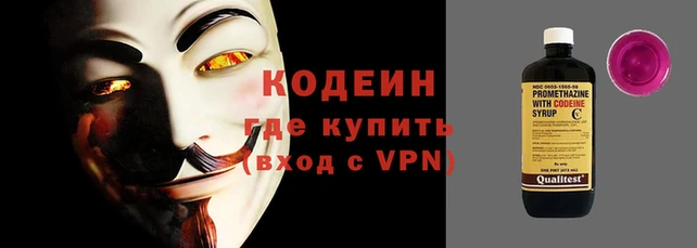 прущие грибы Армянск