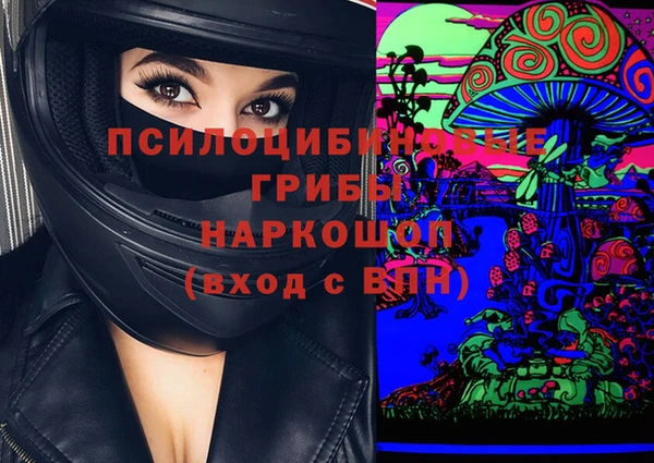 гидра Балахна